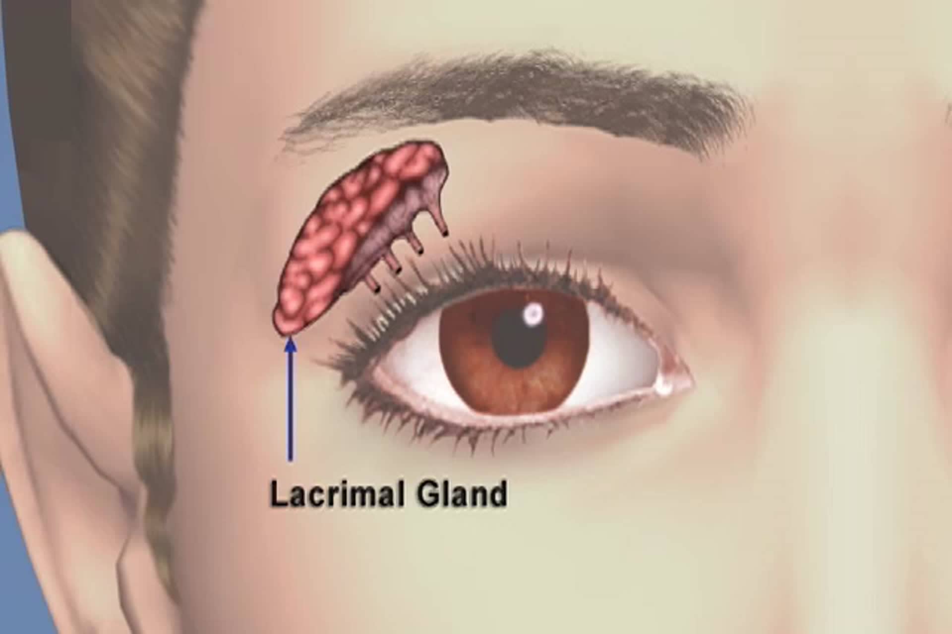 Ojo Seco - ¿Cómo se drenan las lágrimas de los ojos?