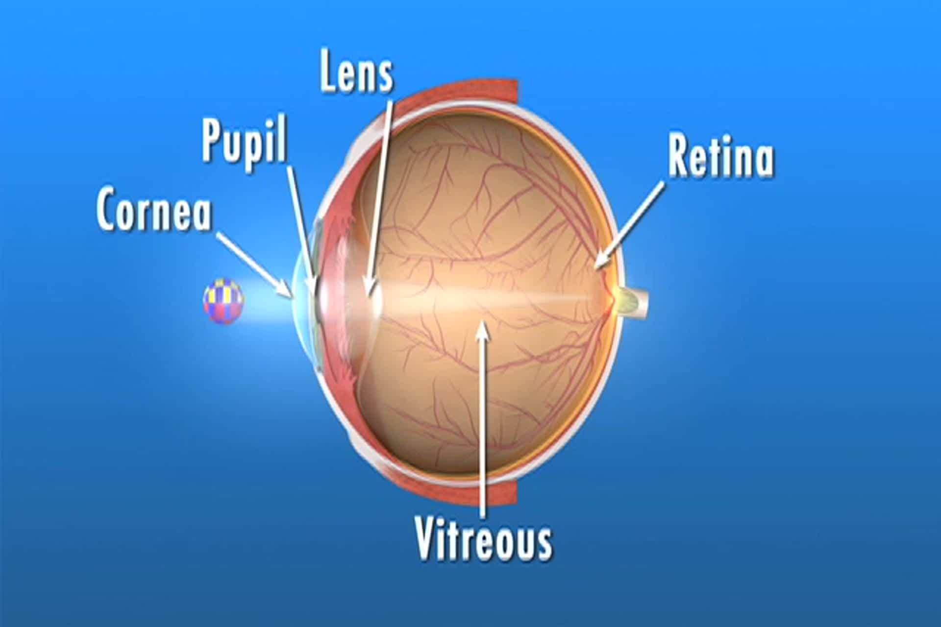 Retina - What are flashes and floaters?